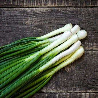 Avatar: Spring-onion